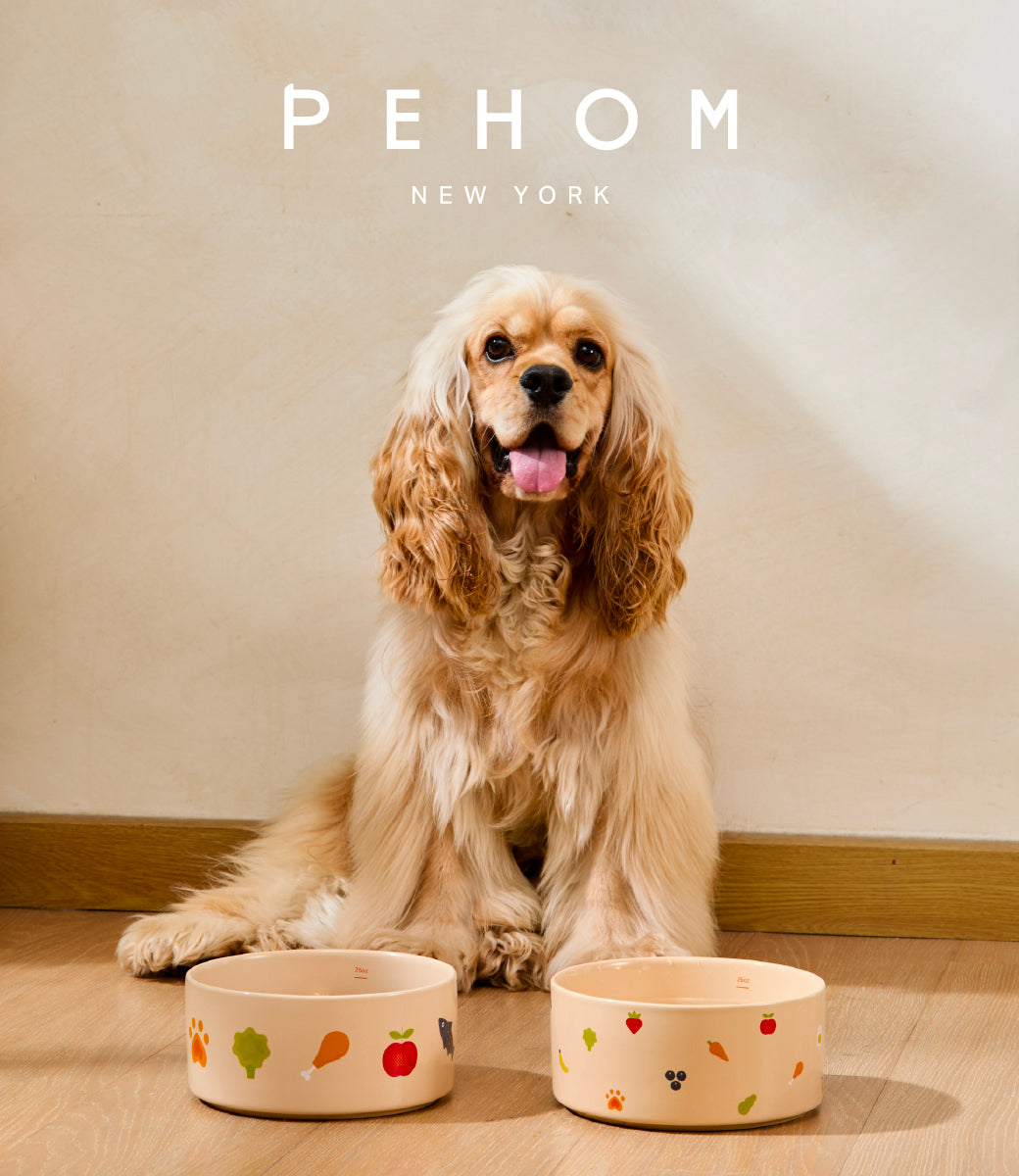 Ceramic Pet Bowl - Nomnom Bowl
