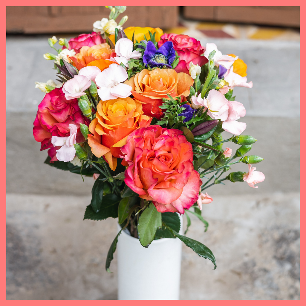 6 Month Gift Subscription