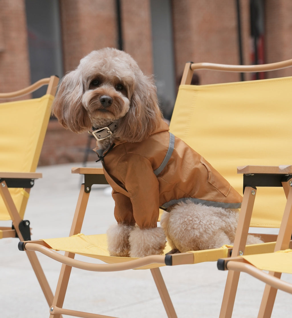 Ultralight Full Covered Hooded Waterproof Dog Jacket - Yellow