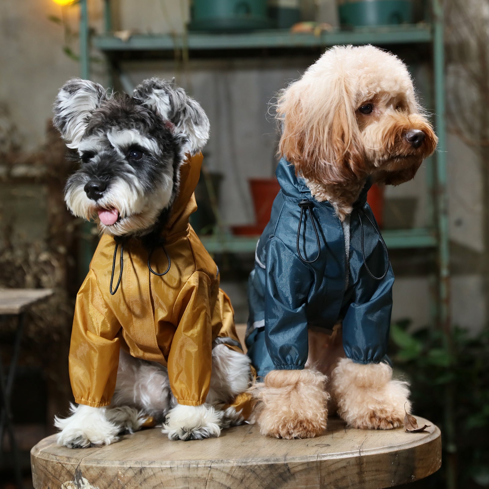 Ultralight Full Covered Hooded Waterproof Dog Jacket - Blue