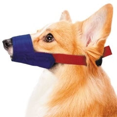 Color-Coded Strap Quick Muzzle for Dogs XXS-5XL