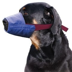 Color-Coded Strap Quick Muzzle for Dogs XXS-5XL