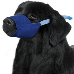 Color-Coded Strap Quick Muzzle for Dogs XXS-5XL