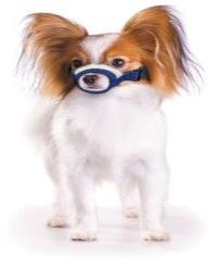 Cozy Quick Muzzle for Dogs Sets