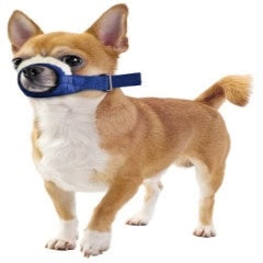 Cozy Quick Muzzle for Dogs Sets