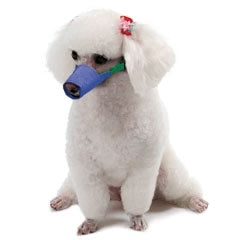 Long Snout Color-Coded Quick Muzzle Small-Large