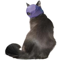10 Pack Four Flags Over Aspen Quick Muzzle for Cats Small-Large