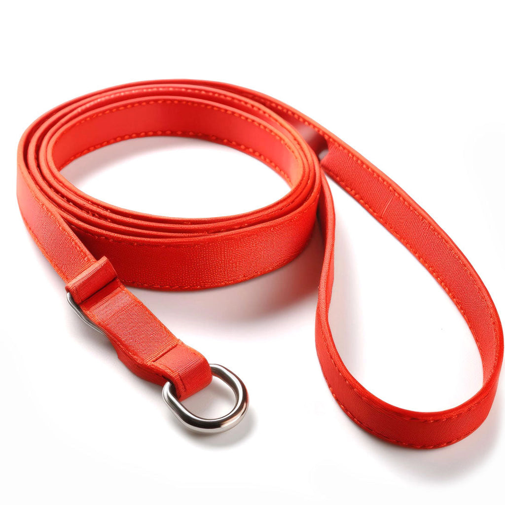 Pet Slip Leash