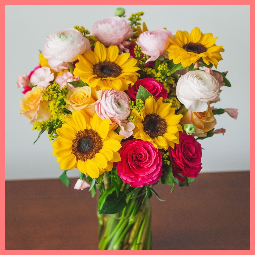 Here Comes the Sun(flower)