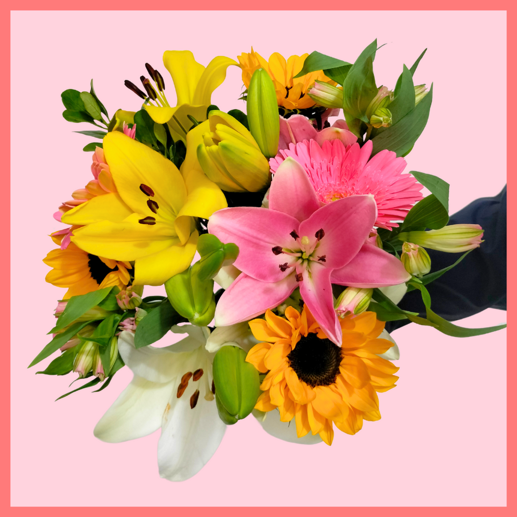 I Lily You