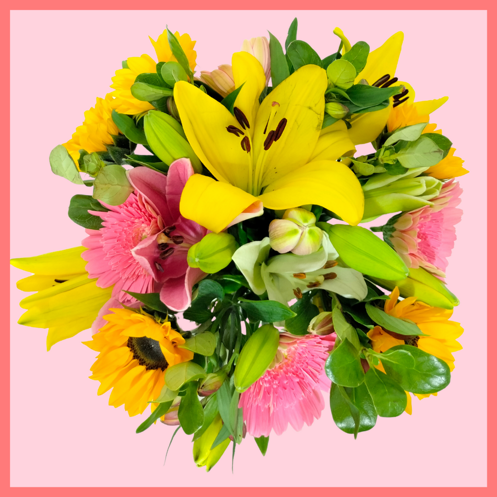I Lily You