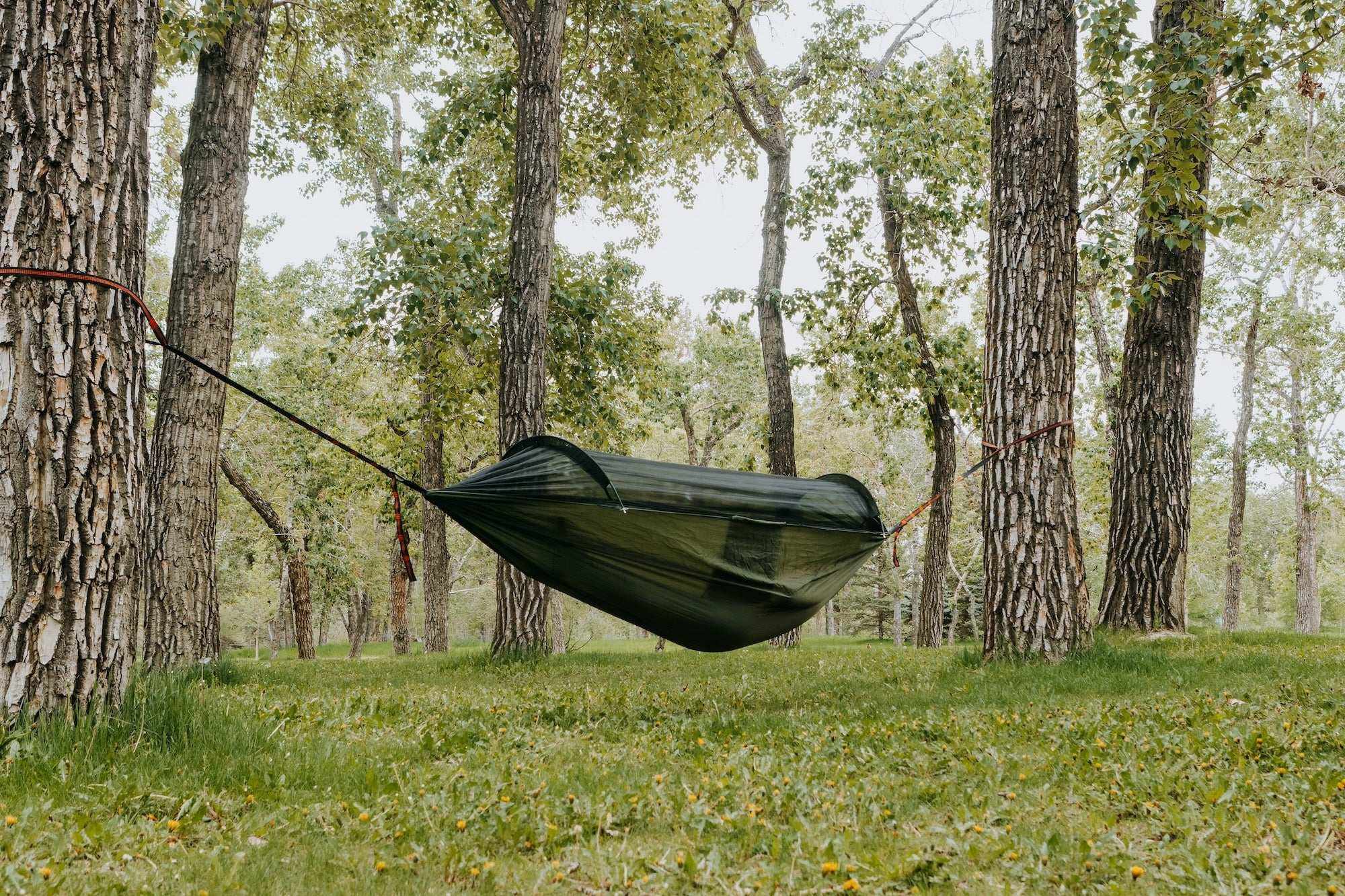 Portable Camping Hammock With Mosquito Net