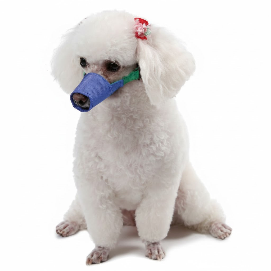 Long Snout Color-Coded Quick Muzzle Small-Large