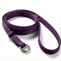 48" Web Slip Leash - Purple