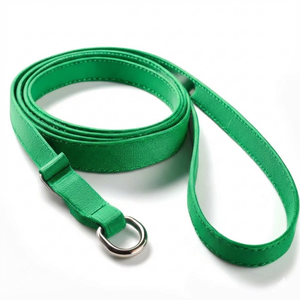 Pet Slip Leash