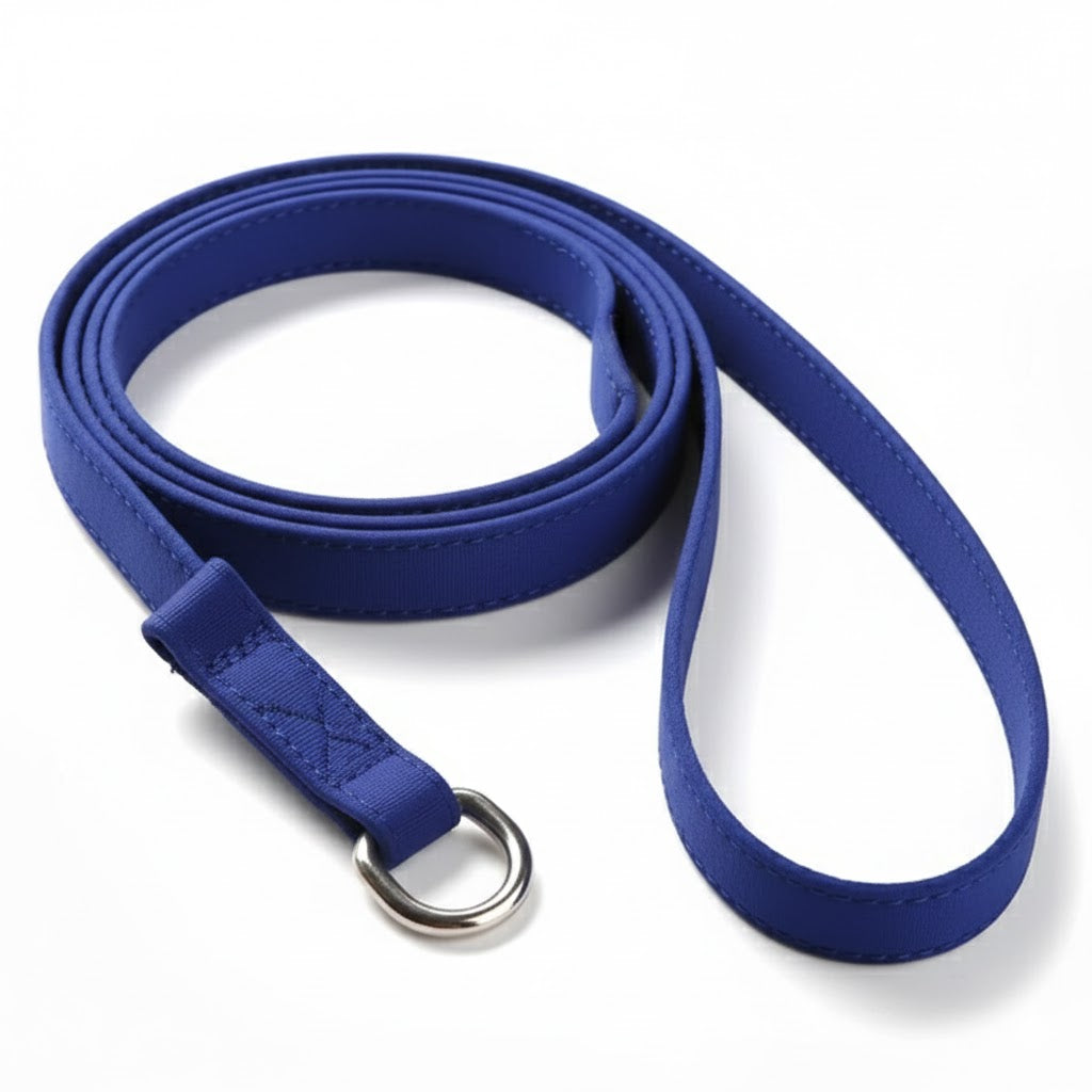 Pet Slip Leash