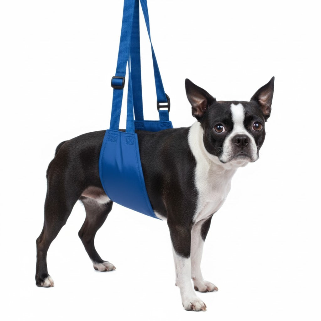 Original Quick Lift Small-XL
