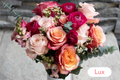3 Month Lux Pre-Paid Gift Subscription - FREE Shipping!
