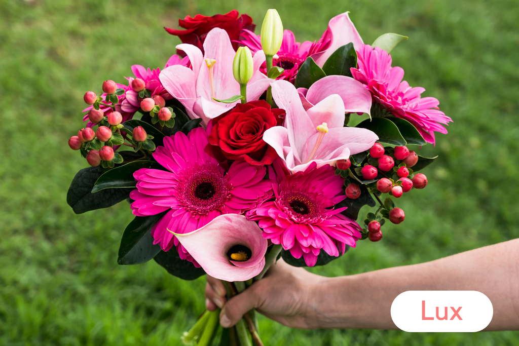 6 Month Lux Pre-Paid Gift Subscription - FREE Shipping!