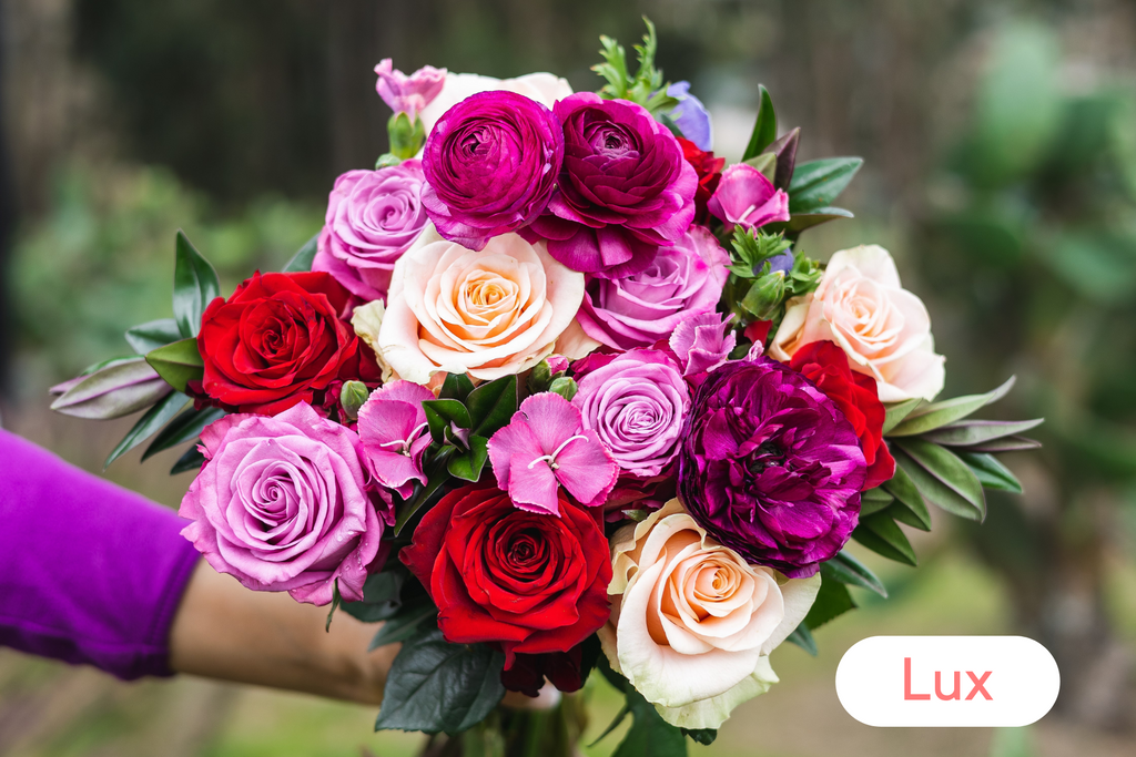 2 Month Lux Gift Subscription (Pre-Paid) - FREE Shipping!