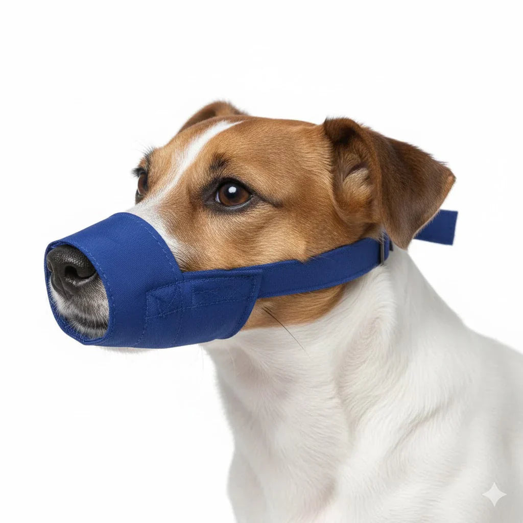 10 Pack Quick Muzzle® for Dogs XXS-5XL