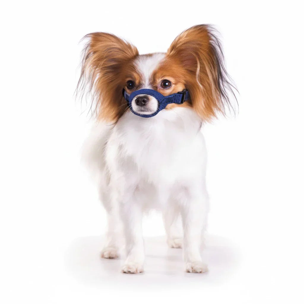 10 Pack Quick Muzzle® for Dogs XXS-5XL