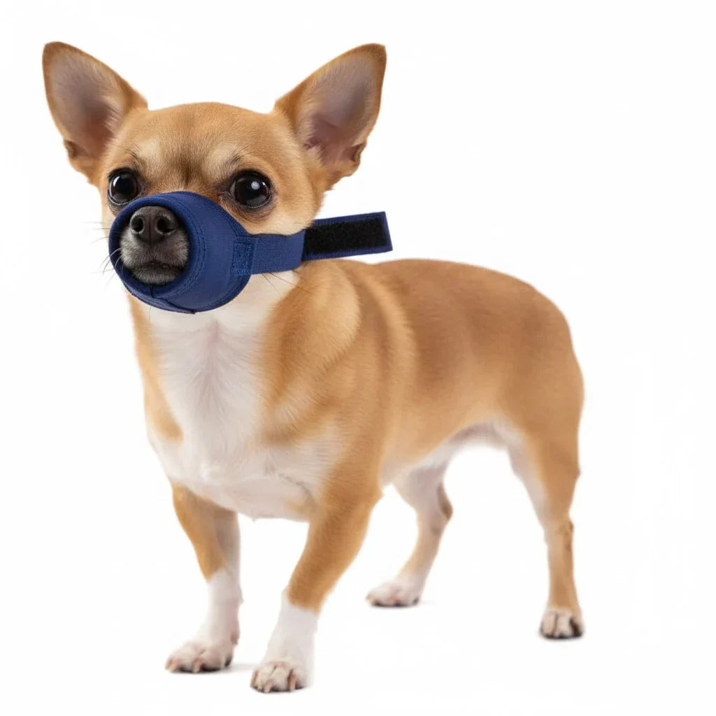 10 Pack Quick Muzzle® for Dogs XXS-5XL
