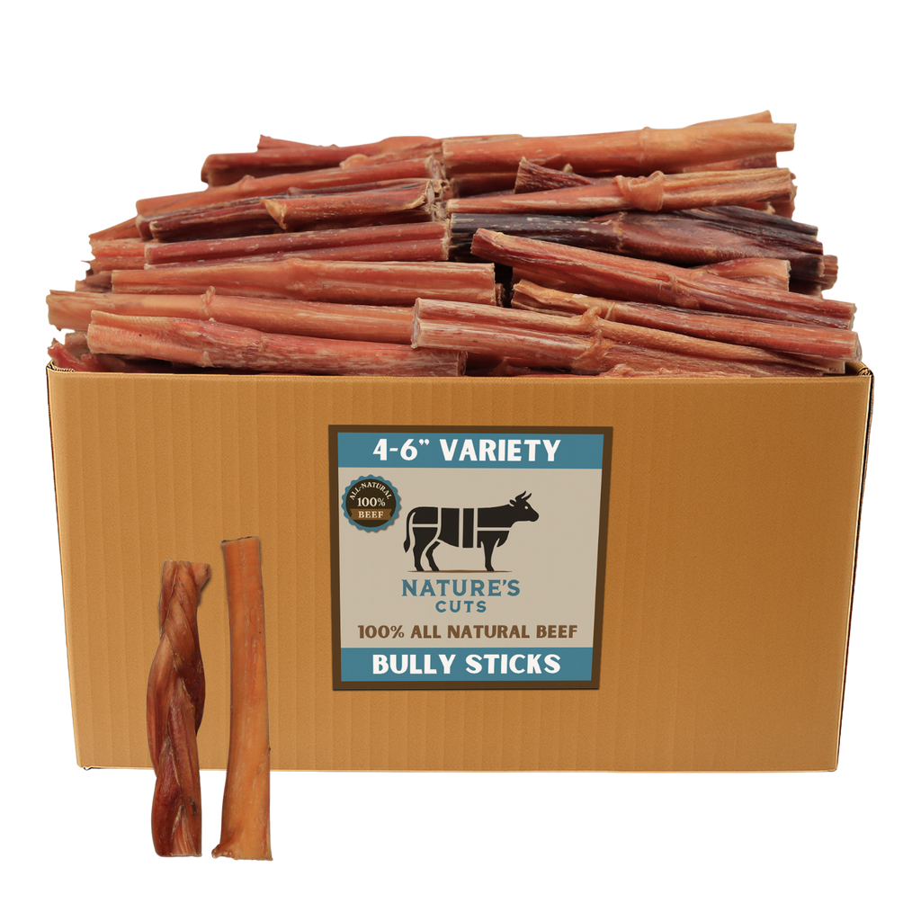 4-6" Variety Bully Sticks by Mighty Chewz