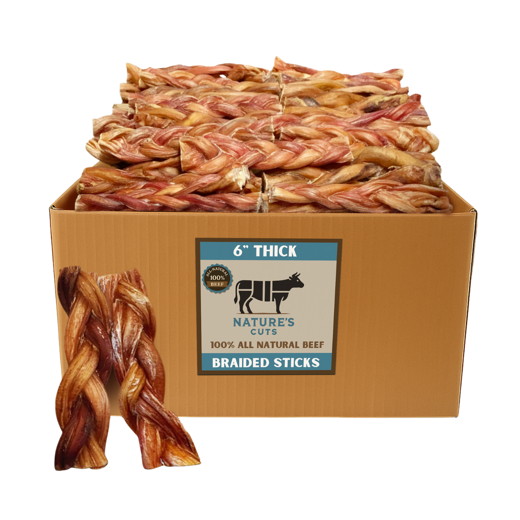 6" Thick Braided Bully Sticks by Mighty Chewz