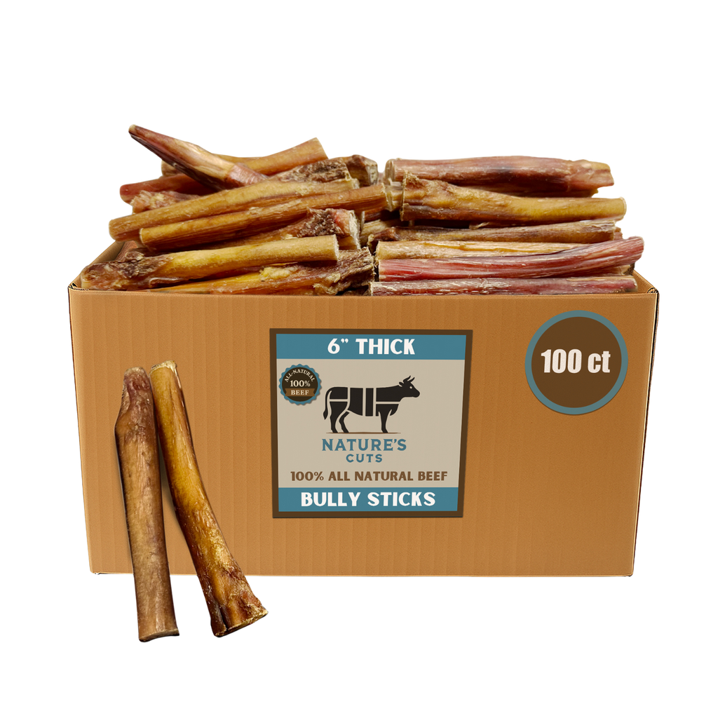6" Thick Bulk Bully Sticks by Mighty Chewz
