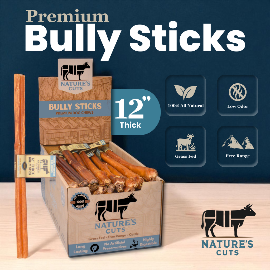 12" Thick Bully Sticks Display Box by Mighty Chewz