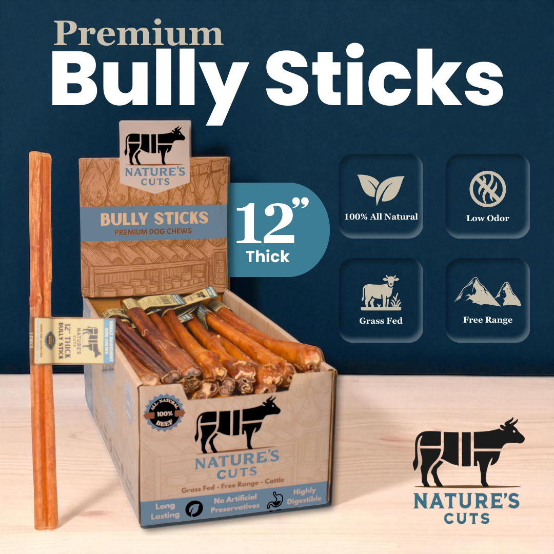 12" Thick Bully Sticks Display Box by Mighty Chewz