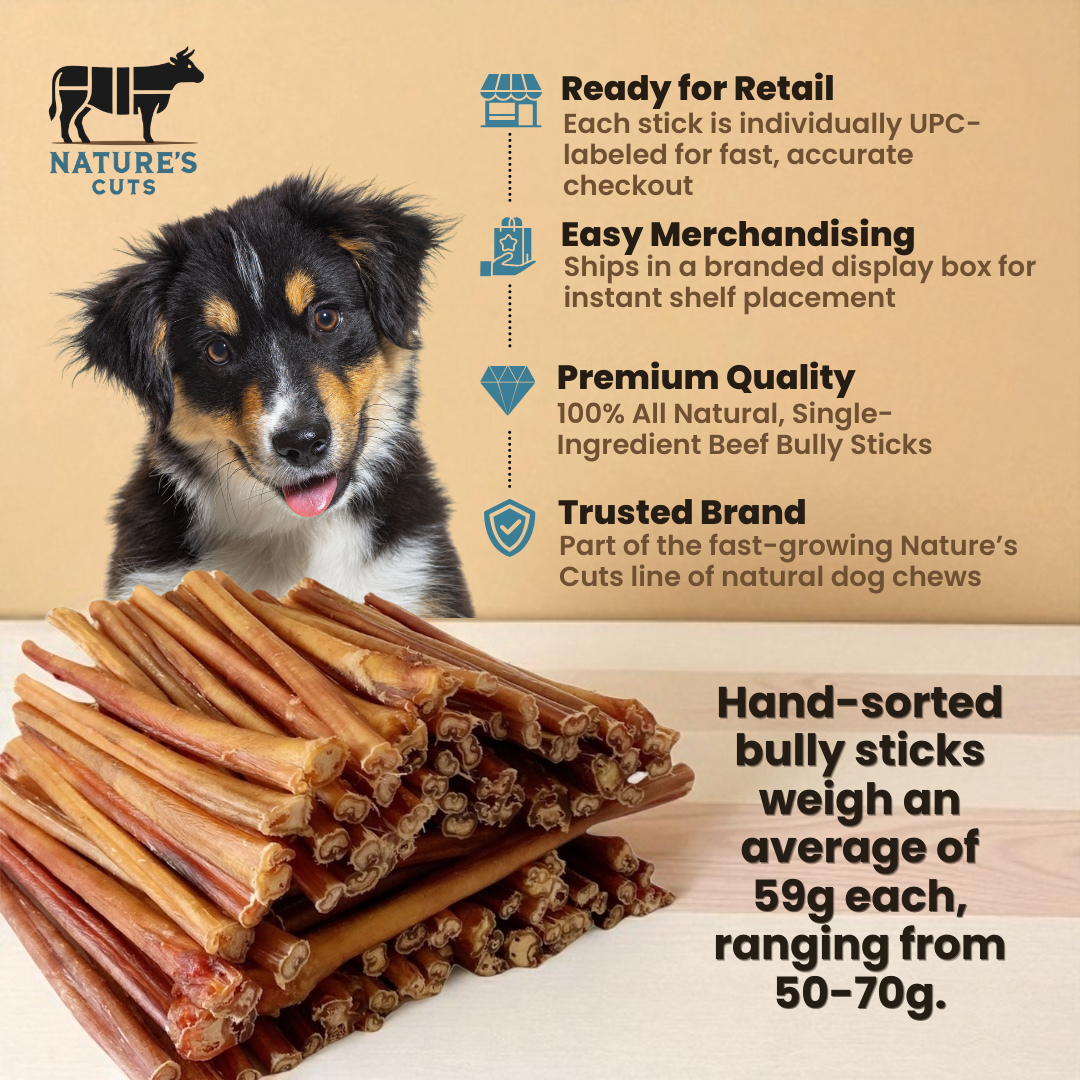 12" Thick Bully Sticks Display Box by Mighty Chewz