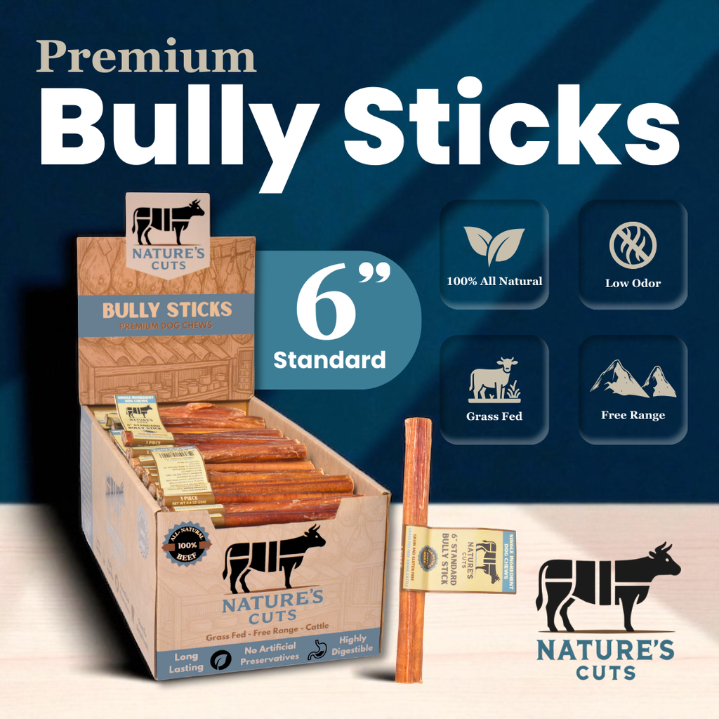 6" Standard Bully Sticks Display Box by Mighty Chewz