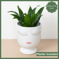 The Face Planter