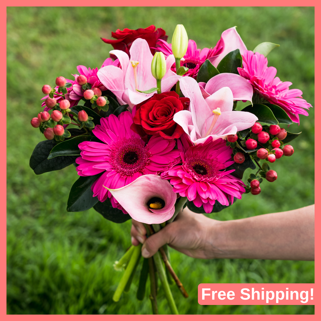Mother's Day Gift Subscription - 3 Months