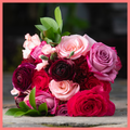 Valentine's Gift Subscription - 6 Months