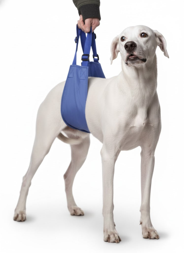 Original Quick Lift Small-XL