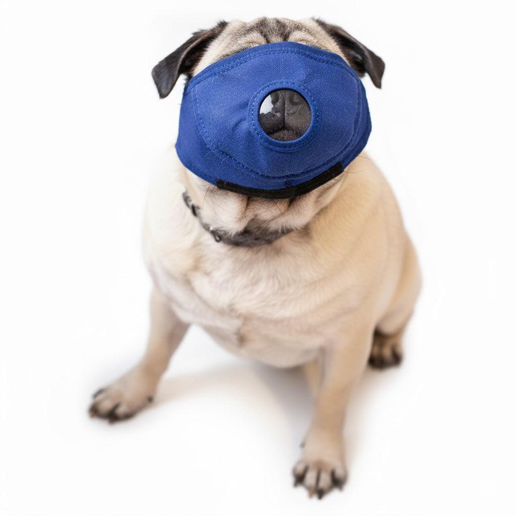 Pug Snout Quick Muzzle Small-Large