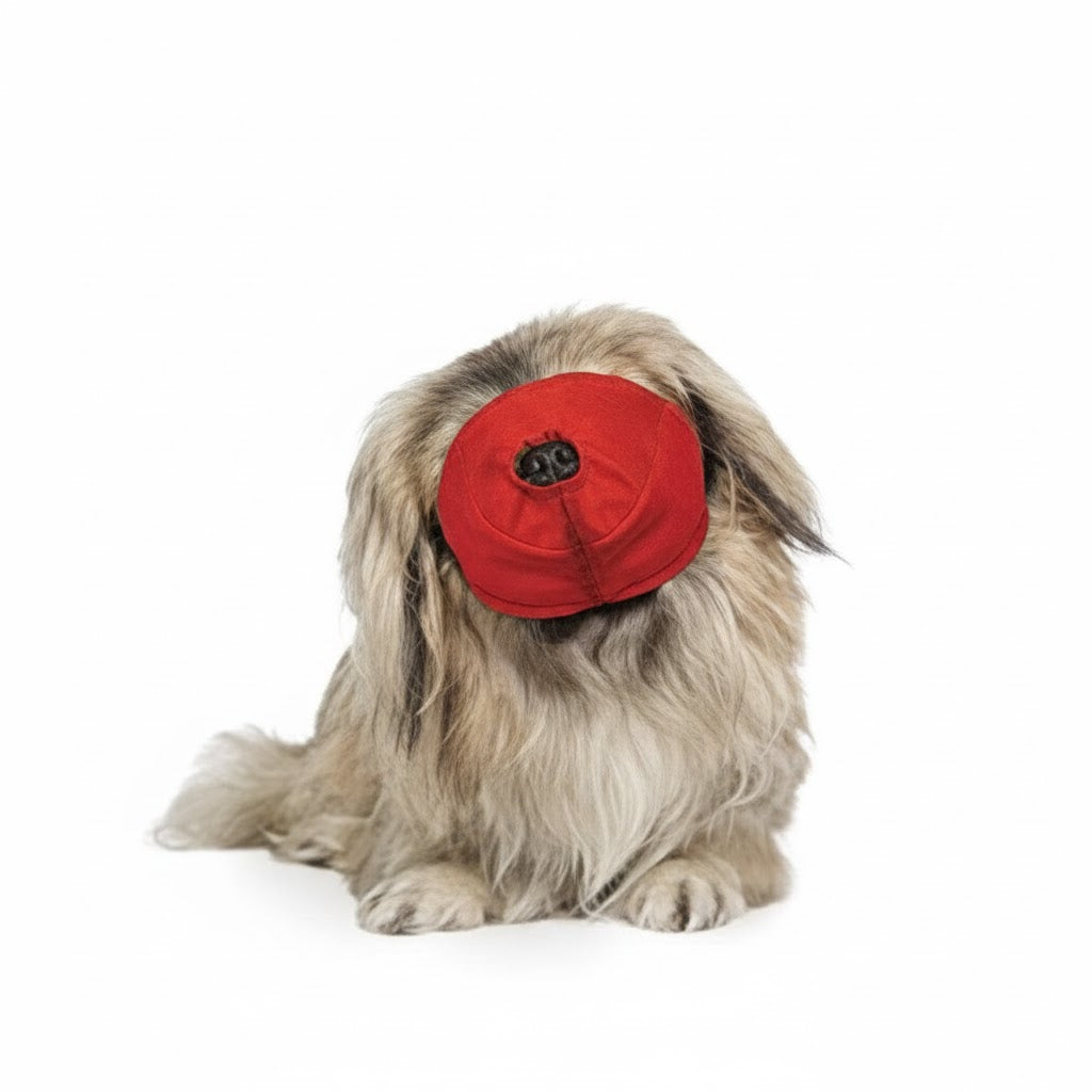 Pug Snout Quick Muzzle Small-Large