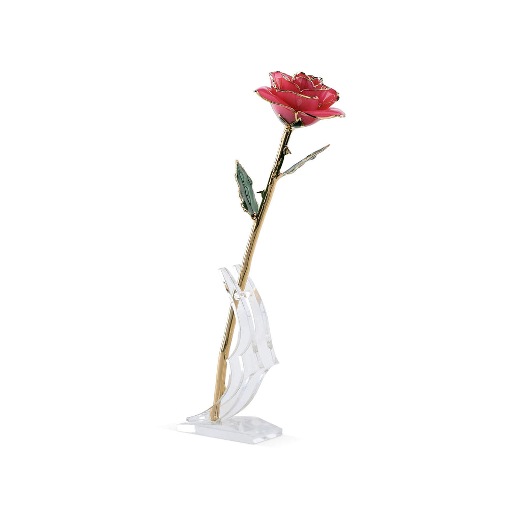 Timeless Rose (Rich Pink)