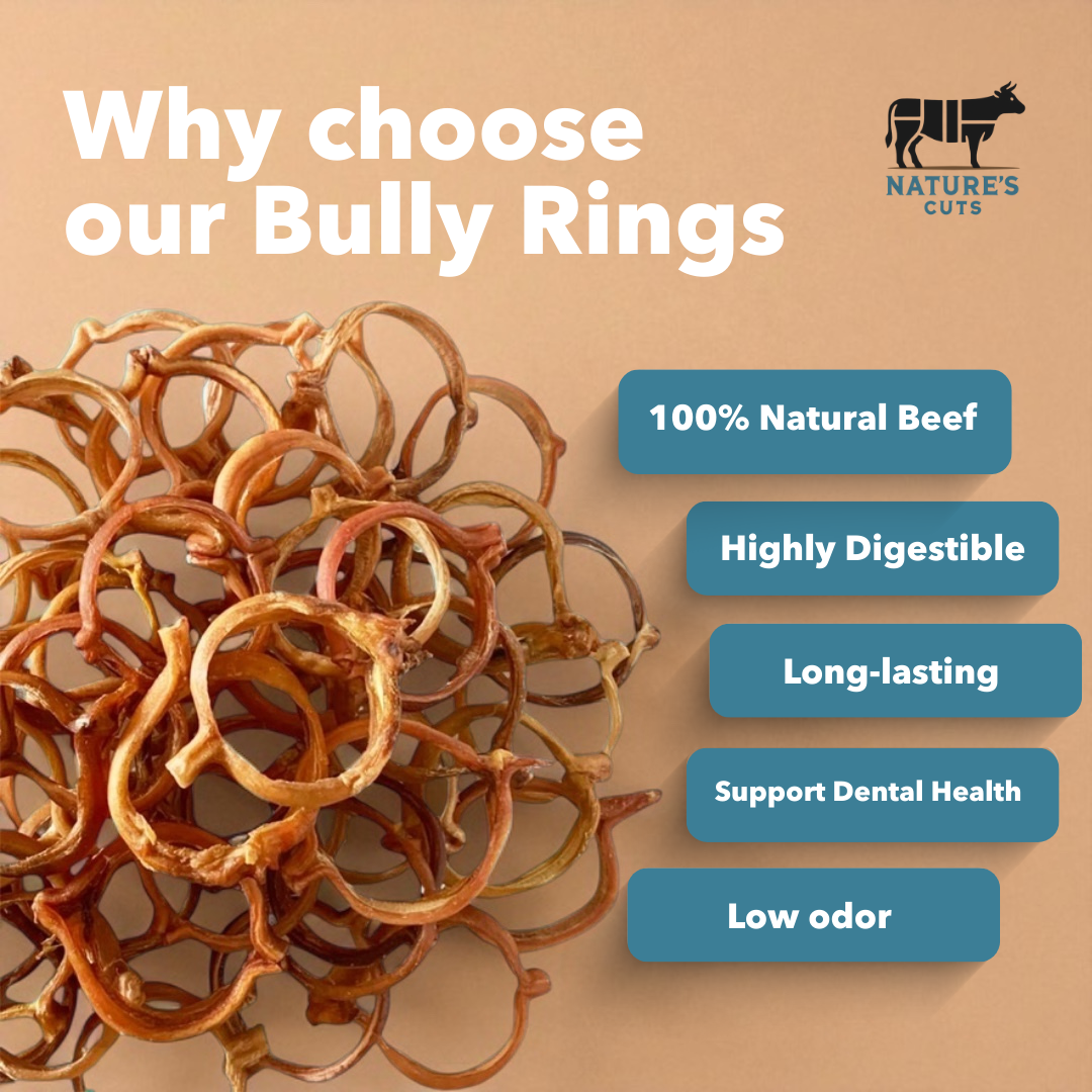 4" Bulk Bully Rings by Mighty Chewz