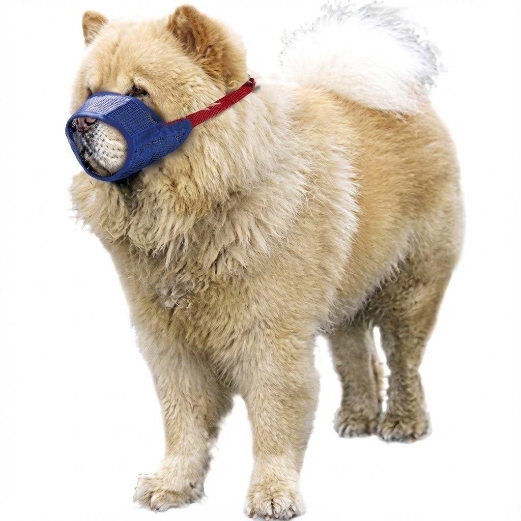 Short Snout Color-Coded Quick Muzzle Small-Large