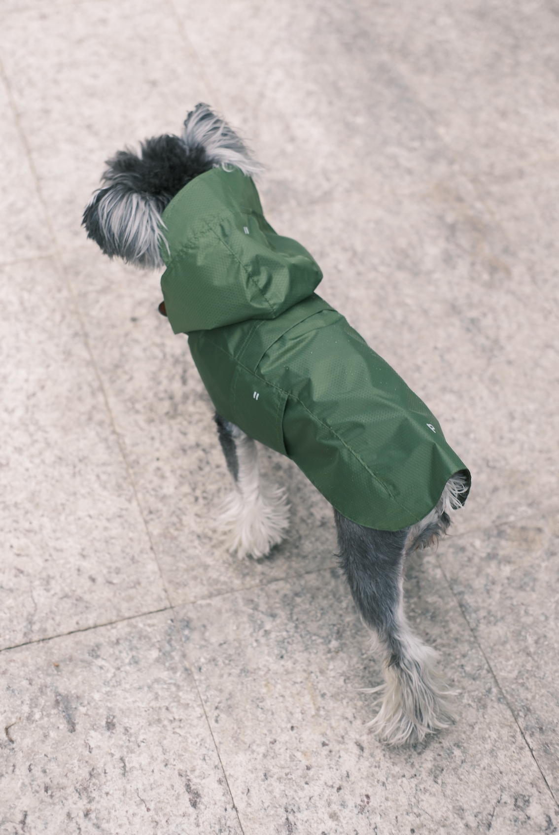 Capsule Raincoat - Blue