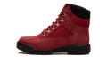 Timberland Men's 6-Inch Waterproof Field Boot
