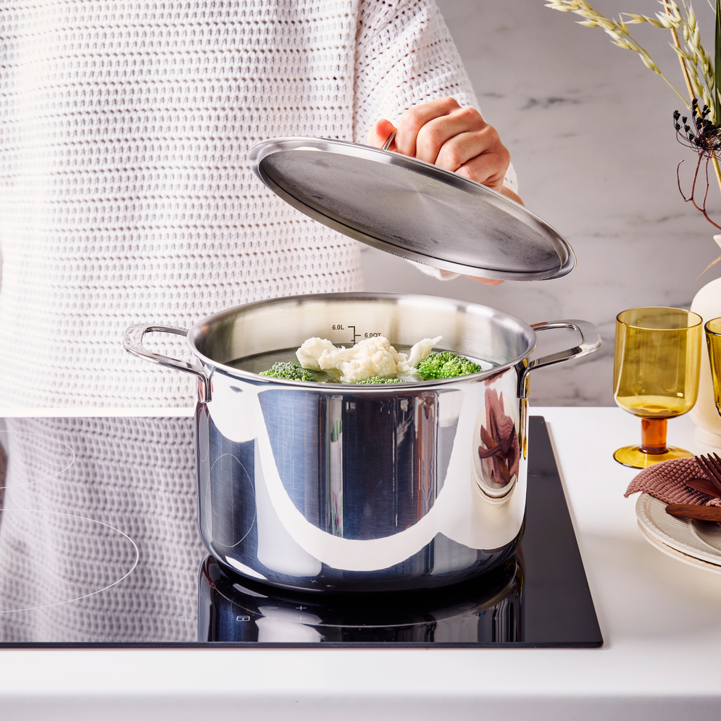 Maestro Stock Pot with Lid by Alva Cookware