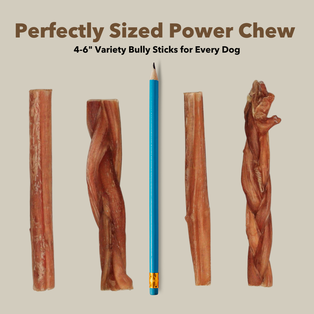4-6" Variety Bully Sticks by Mighty Chewz