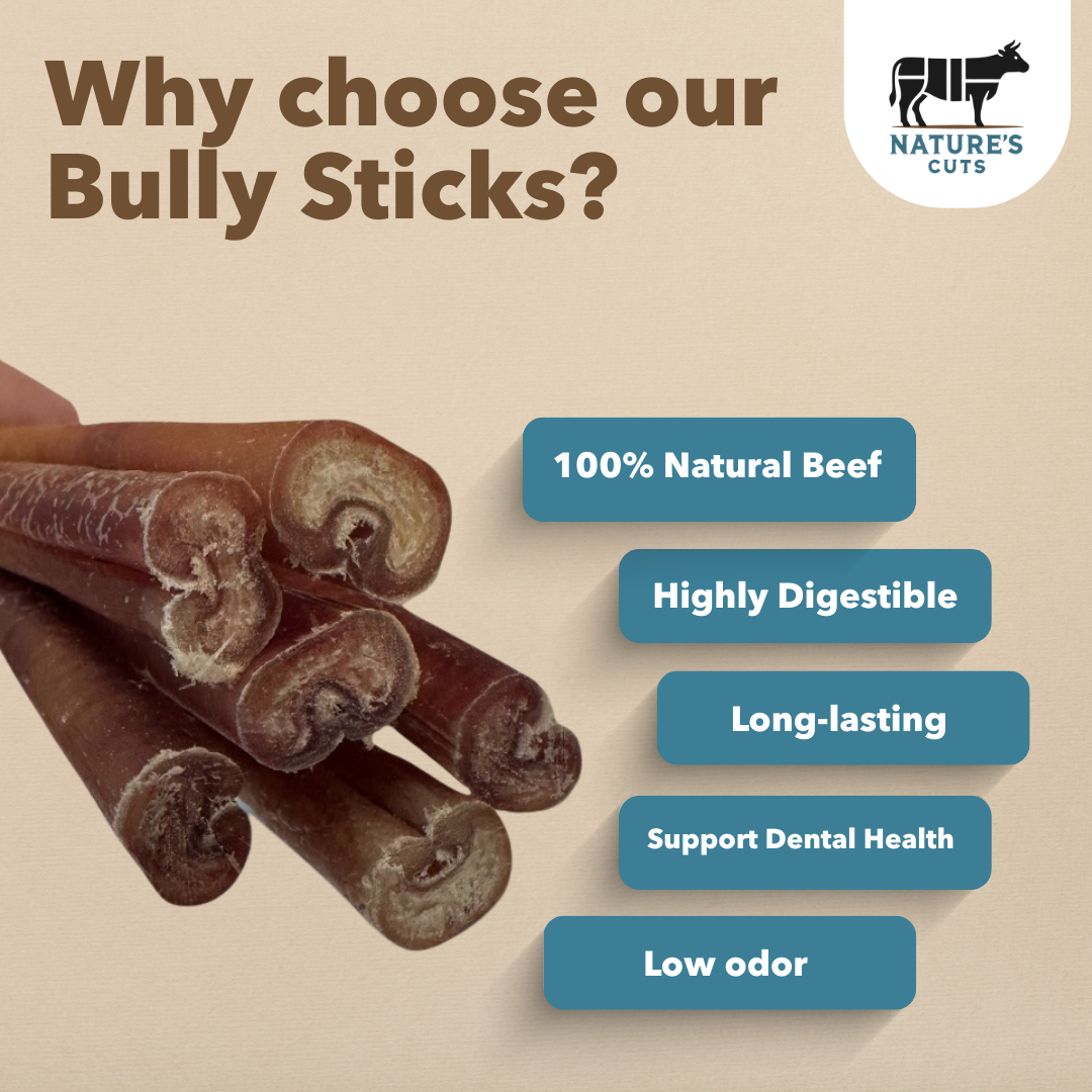 6" Thick Bulk Bully Sticks by Mighty Chewz