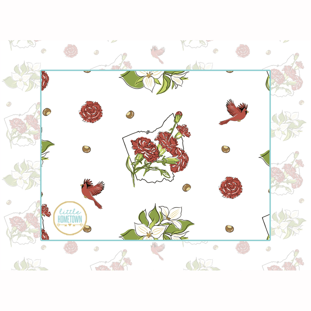 Baby Burp Cloth & Bib Combo Ohio Baby (Floral)