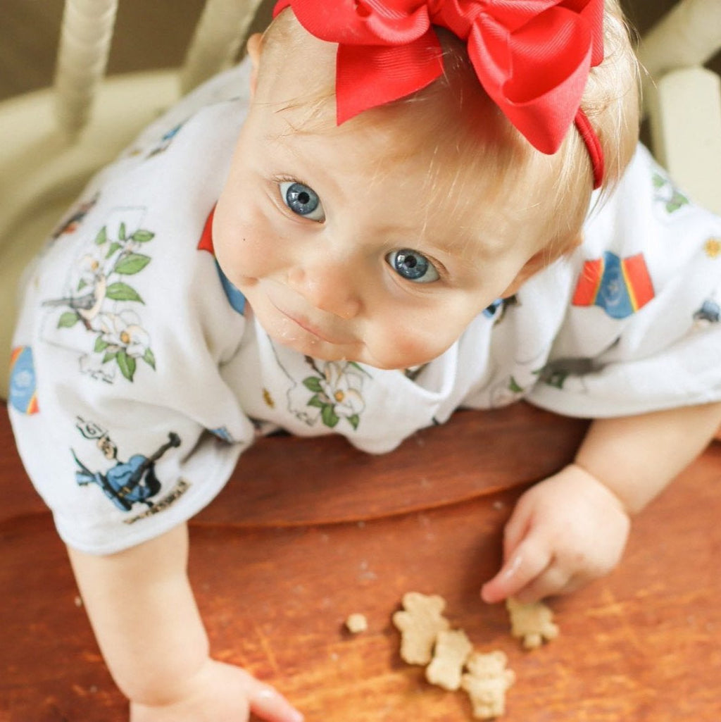 Baby Burp Cloth & Bib Combo: Mississippi